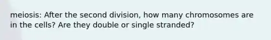 meiosis: After the second division, how many chromosomes are in the cells? Are they double or single stranded?