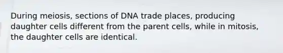 During meiosis, sections of DNA trade places, producing daughter cells different from the parent cells, while in mitosis, the daughter cells are identical.