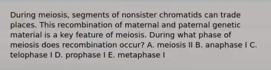 During meiosis, segments of nonsister chromatids can trade places. This recombination of maternal and paternal genetic material is a key feature of meiosis. During what phase of meiosis does recombination occur? A. meiosis II B. anaphase I C. telophase I D. prophase I E. metaphase I