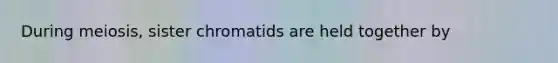 During meiosis, sister chromatids are held together by