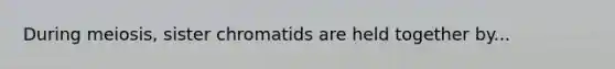 During meiosis, sister chromatids are held together by...