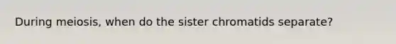 During meiosis, when do the sister chromatids separate?