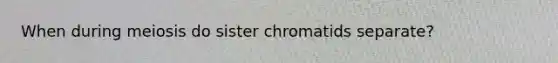 When during meiosis do sister chromatids separate?