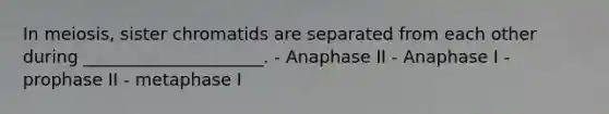 In meiosis, sister chromatids are separated from each other during _____________________. - Anaphase II - Anaphase I - prophase II - metaphase I