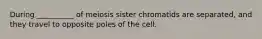 During __________ of meiosis sister chromatids are separated, and they travel to opposite poles of the cell.