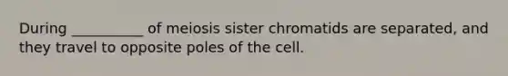 During __________ of meiosis sister chromatids are separated, and they travel to opposite poles of the cell.