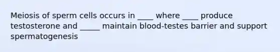 Meiosis of sperm cells occurs in ____ where ____ produce testosterone and _____ maintain blood-testes barrier and support spermatogenesis