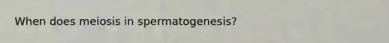 When does meiosis in spermatogenesis?