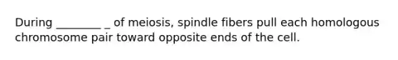 During ________ _ of meiosis, spindle fibers pull each homologous chromosome pair toward opposite ends of the cell.