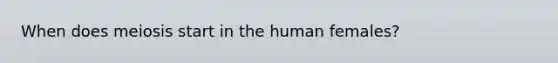 When does meiosis start in the human females?