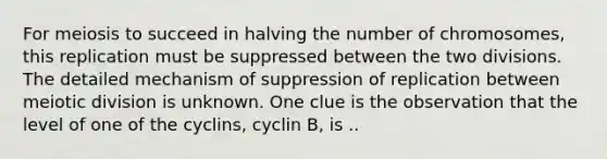 For meiosis to succeed in halving the number of chromosomes, this replication must be suppressed between the two divisions. The detailed mechanism of suppression of replication between meiotic division is unknown. One clue is the observation that the level of one of the cyclins, cyclin B, is ..