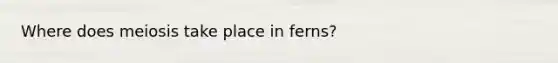 Where does meiosis take place in ferns?