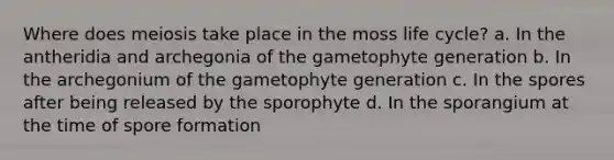 Where does meiosis take place in the moss life cycle? a. In the antheridia and archegonia of the gametophyte generation b. In the archegonium of the gametophyte generation c. In the spores after being released by the sporophyte d. In the sporangium at the time of spore formation