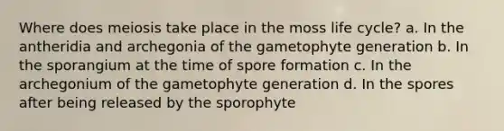 Where does meiosis take place in the moss life cycle? a. In the antheridia and archegonia of the gametophyte generation b. In the sporangium at the time of spore formation c. In the archegonium of the gametophyte generation d. In the spores after being released by the sporophyte