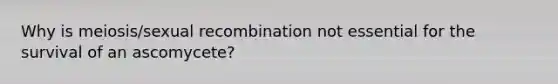 Why is meiosis/sexual recombination not essential for the survival of an ascomycete?