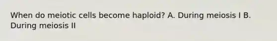 When do meiotic cells become haploid? A. During meiosis I B. During meiosis II