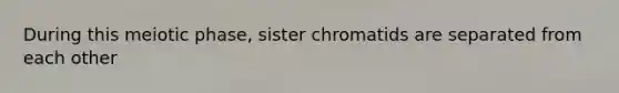 During this meiotic phase, sister chromatids are separated from each other