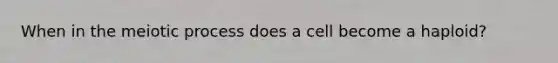 When in the meiotic process does a cell become a haploid?