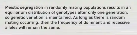 Meiotic segregation in randomly mating populations results in an equilibrium distribution of genotypes after only one generation, so genetic variation is maintained. As long as there is random mating occurring, then the frequency of dominant and recessive alleles will remain the same.