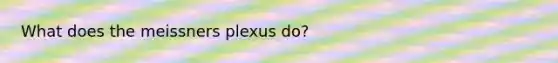 What does the meissners plexus do?