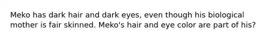 Meko has dark hair and dark eyes, even though his biological mother is fair skinned. Meko's hair and eye color are part of his?