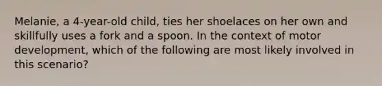 Melanie, a 4-year-old child, ties her shoelaces on her own and skillfully uses a fork and a spoon. In the context of motor development, which of the following are most likely involved in this scenario?