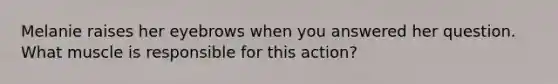Melanie raises her eyebrows when you answered her question. What muscle is responsible for this action?