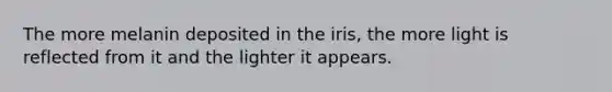 The more melanin deposited in the iris, the more light is reflected from it and the lighter it appears.