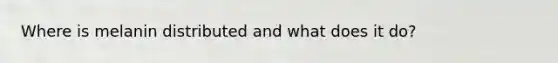 Where is melanin distributed and what does it do?