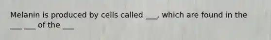 Melanin is produced by cells called ___, which are found in the ___ ___ of the ___