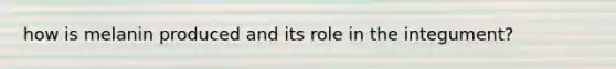 how is melanin produced and its role in the integument?