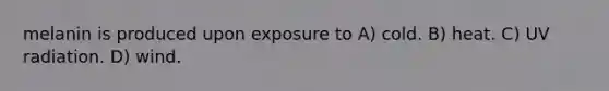 melanin is produced upon exposure to A) cold. B) heat. C) UV radiation. D) wind.