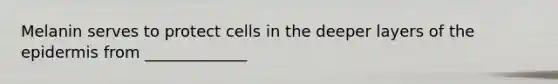 Melanin serves to protect cells in the deeper layers of the epidermis from _____________