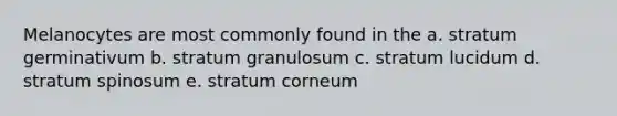 Melanocytes are most commonly found in the a. stratum germinativum b. stratum granulosum c. stratum lucidum d. stratum spinosum e. stratum corneum