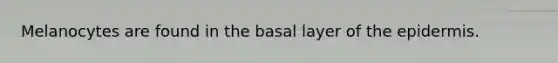 Melanocytes are found in the basal layer of the epidermis.