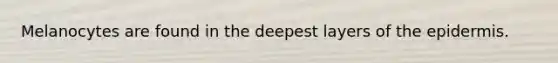 Melanocytes are found in the deepest layers of <a href='https://www.questionai.com/knowledge/kBFgQMpq6s-the-epidermis' class='anchor-knowledge'>the epidermis</a>.