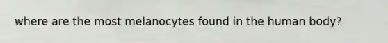 where are the most melanocytes found in the human body?