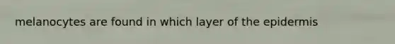 melanocytes are found in which layer of the epidermis