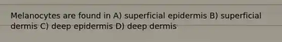 Melanocytes are found in A) superficial epidermis B) superficial dermis C) deep epidermis D) deep dermis