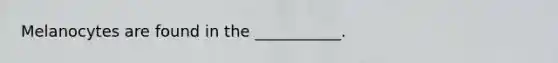 Melanocytes are found in the ___________.