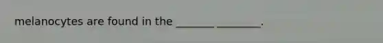melanocytes are found in the _______ ________.