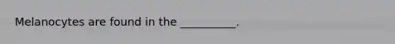 Melanocytes are found in the __________.