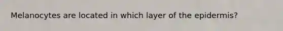 Melanocytes are located in which layer of the epidermis?