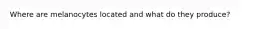 Where are melanocytes located and what do they produce?