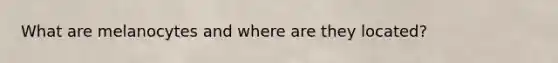 What are melanocytes and where are they located?