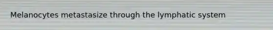 Melanocytes metastasize through the lymphatic system