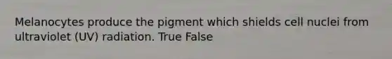 Melanocytes produce the pigment which shields cell nuclei from ultraviolet (UV) radiation. True False