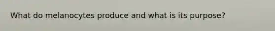 What do melanocytes produce and what is its purpose?
