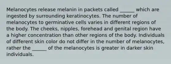 Melanocytes release melanin in packets called ______ which are ingested by surrounding keratinocytes. The number of melanocytes to germinative cells varies in different regions of the body. The cheeks, nipples, forehead and genital region have a higher concentration than other regions of the body. Individuals of different skin color do not differ in the number of melanocytes, rather the ______ of the melanocytes is greater in darker skin individuals.