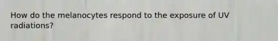 How do the melanocytes respond to the exposure of UV radiations?